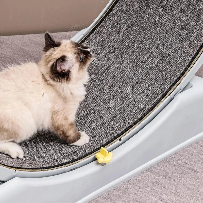 Tyst Kattlöphjul med Avtagbar Matta – Fitness & Lek