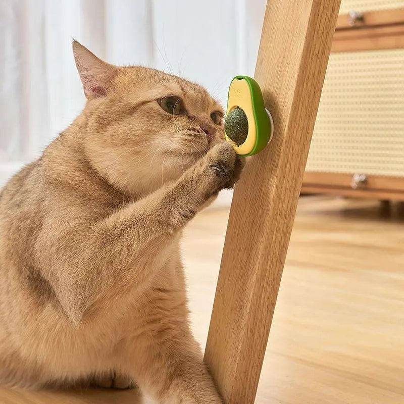 Roterande Kattleksak med Ätbar Kattmynta