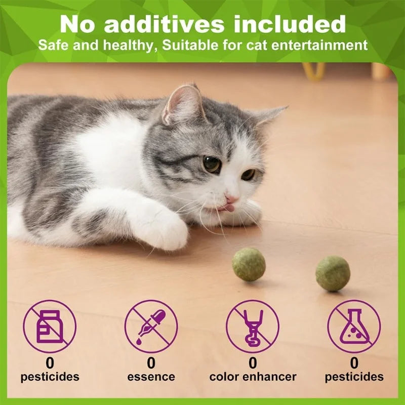Naturliga kattmyntabollar – Lick-leksaker som aktiverar din katt
