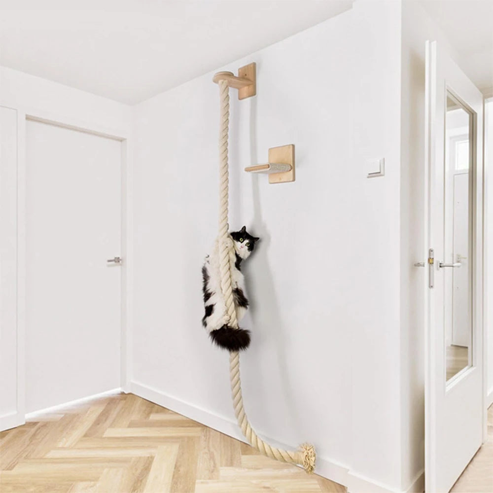 Väggmonterat kattklätterset med rep och hylla