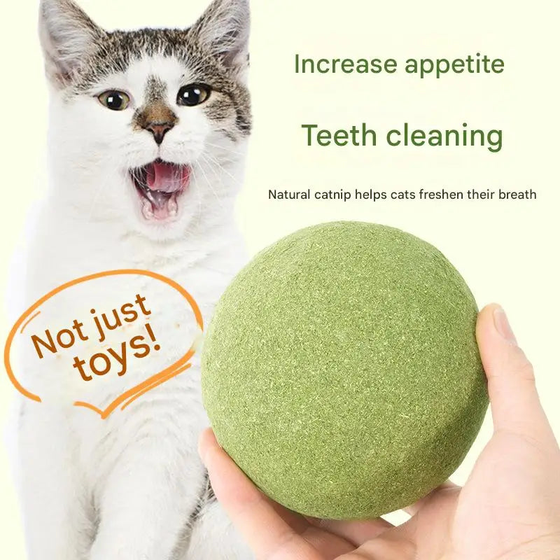 Kattmynta Boll – Klistras På & Främjar Hälsa