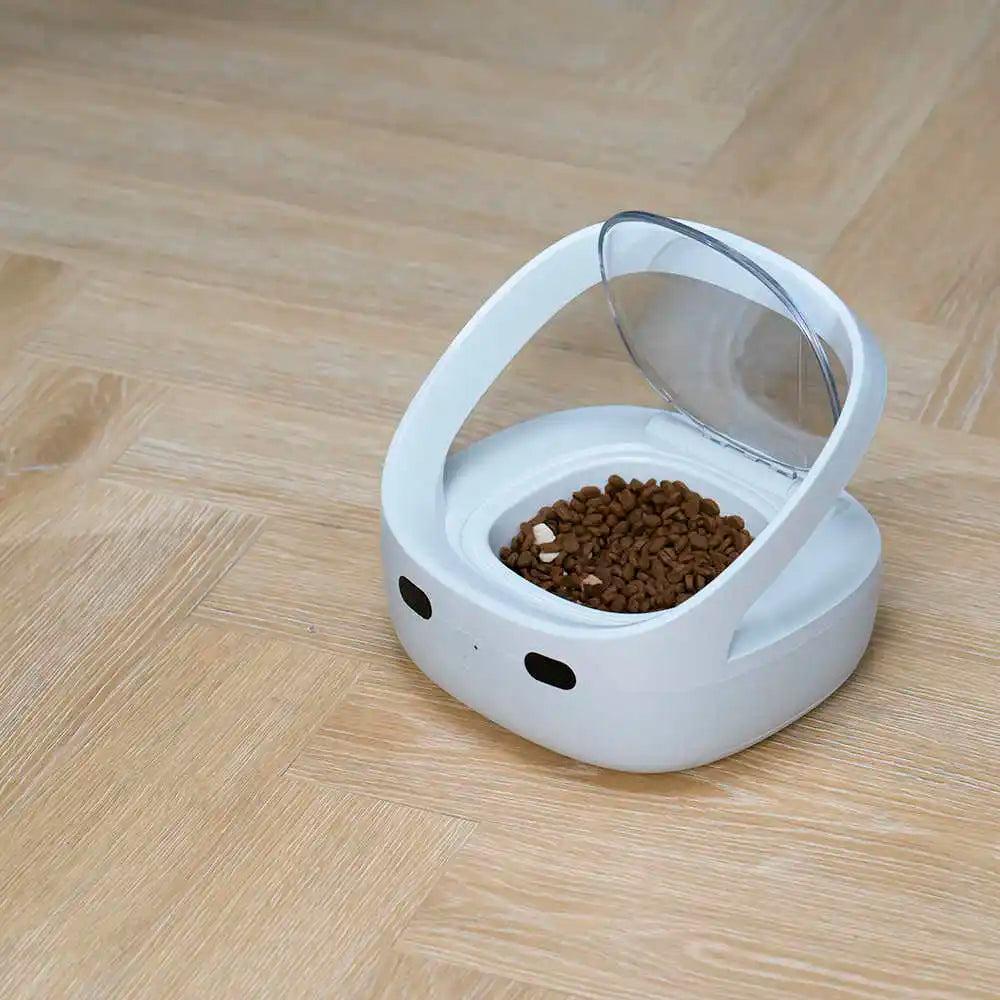 Smart Chipstyrd Automatisk Kattmatskål med App och Sensor