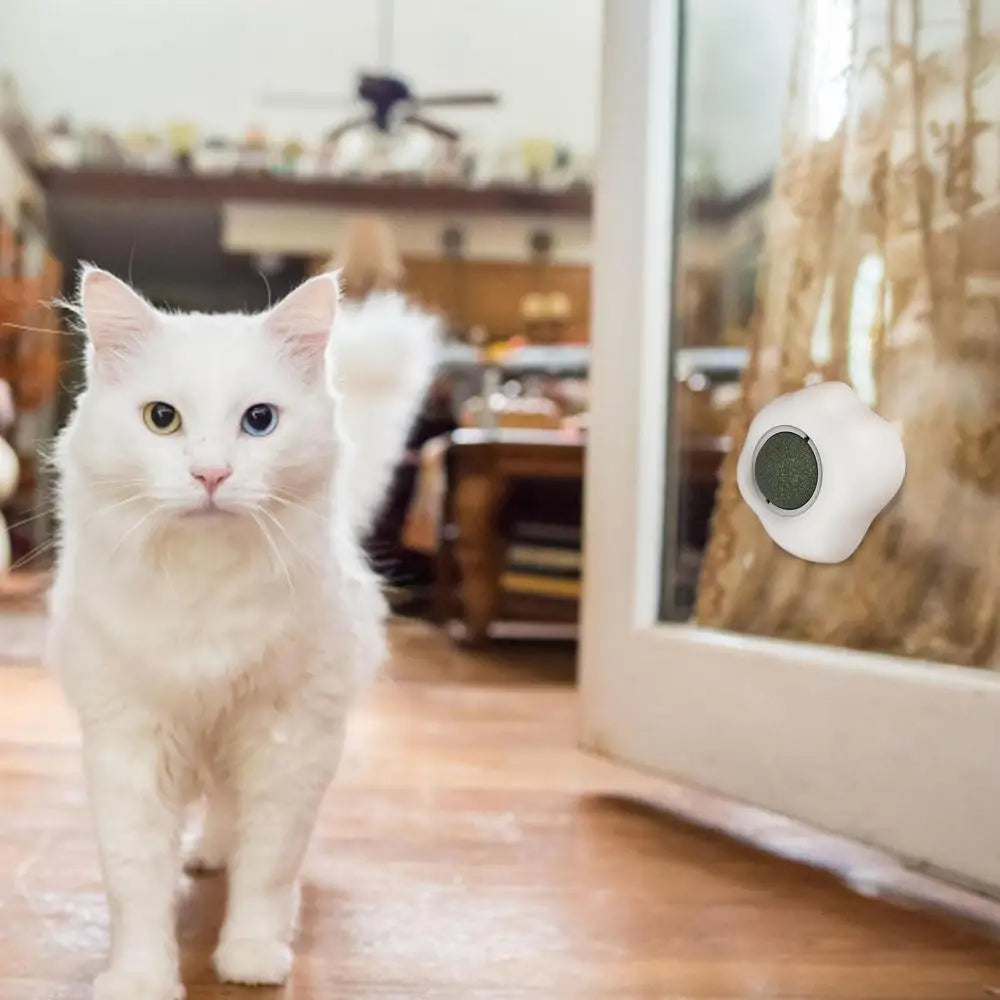Roterande kattmyntaboll i äggform