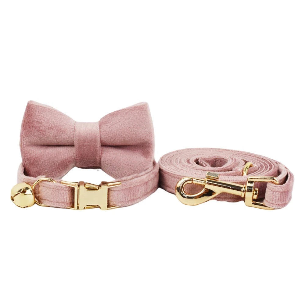 Söt kattkrage med rosett & ID-bricka