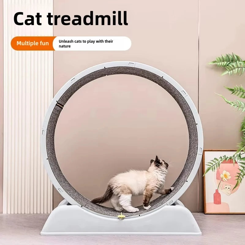 Tyst Kattlöphjul med Avtagbar Matta – Fitness & Lek