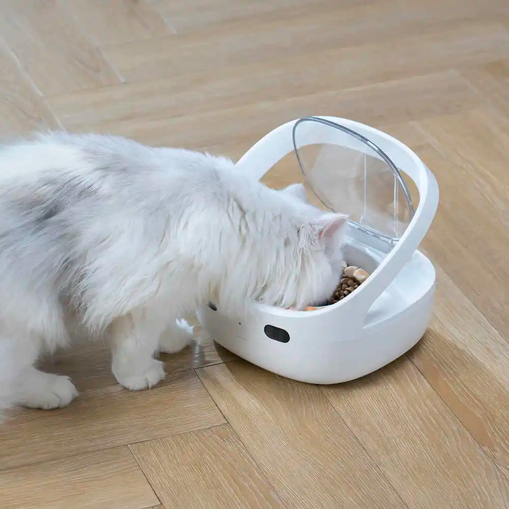 Smart Chipstyrd Automatisk Kattmatskål med App och Sensor