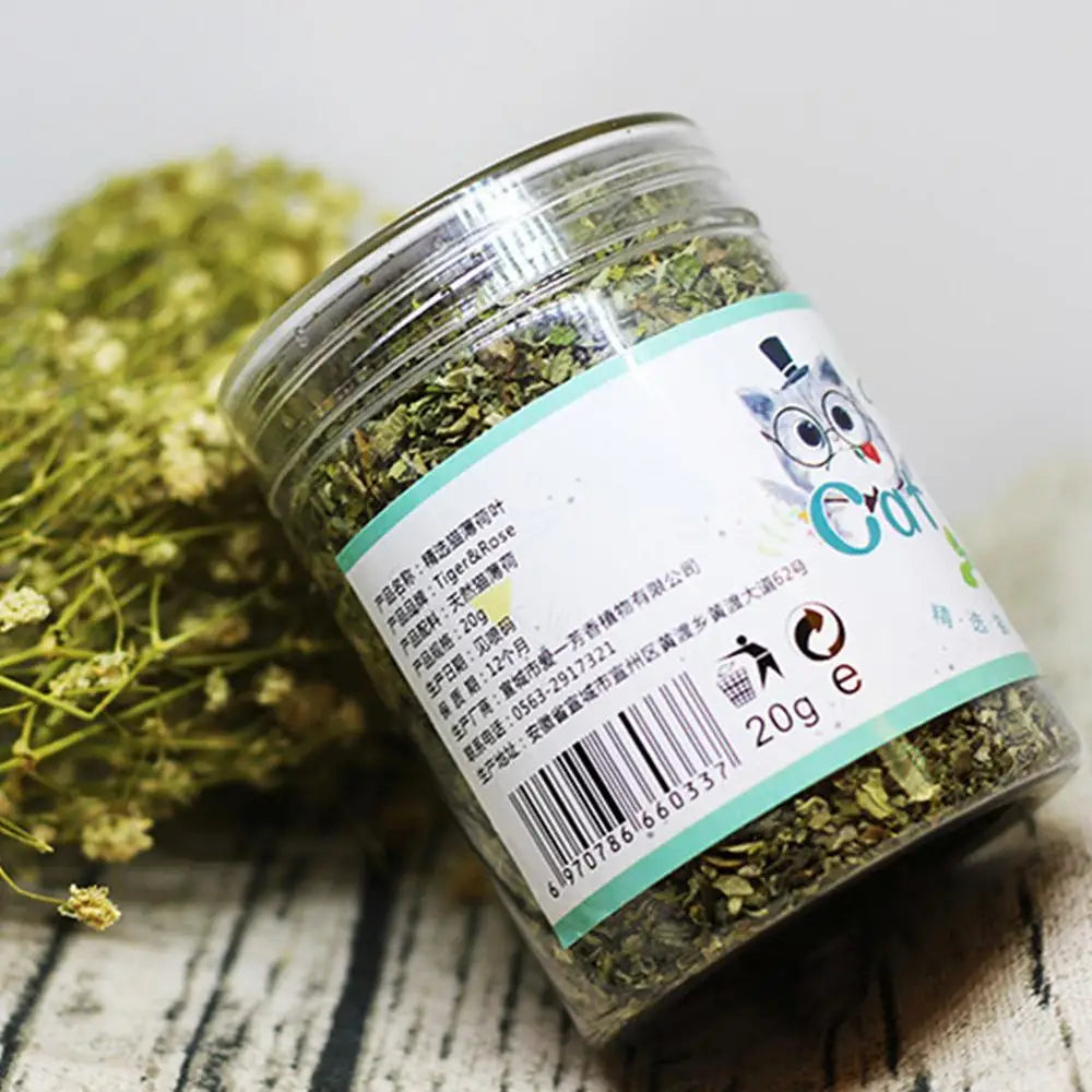 Naturlig premium kattmynta för lek och stimulans – färska blad för katter