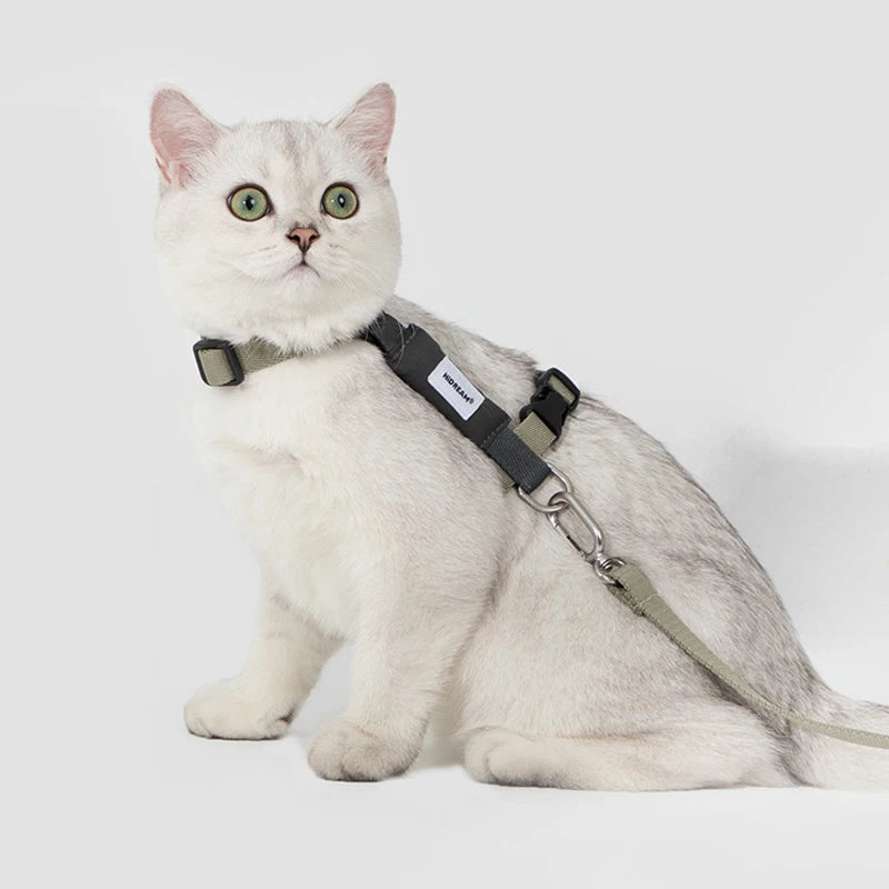 Kattsele med koppel – andningsbar design