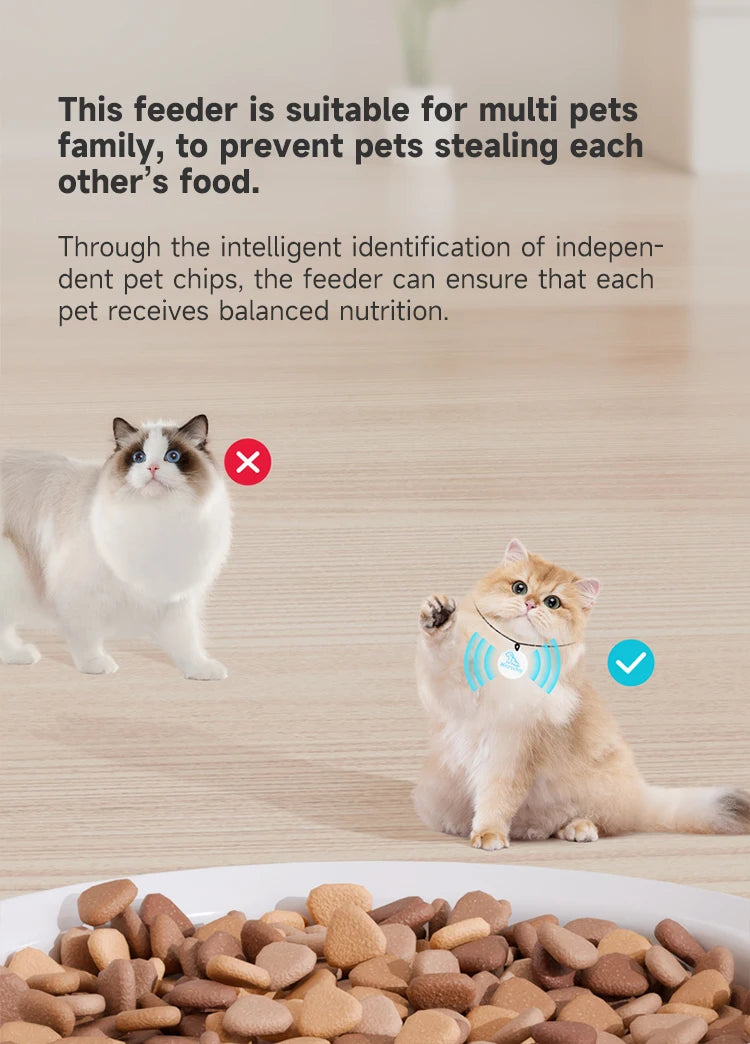Automatisk RFID Foderstation för Katt & Hund med Timer och Röstfunktion