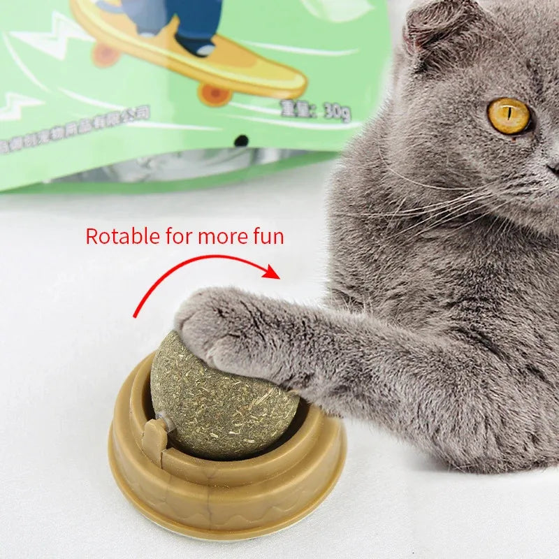 Slickleksak med Kattgräs för Matsmältning, Tandvård och Aktivering