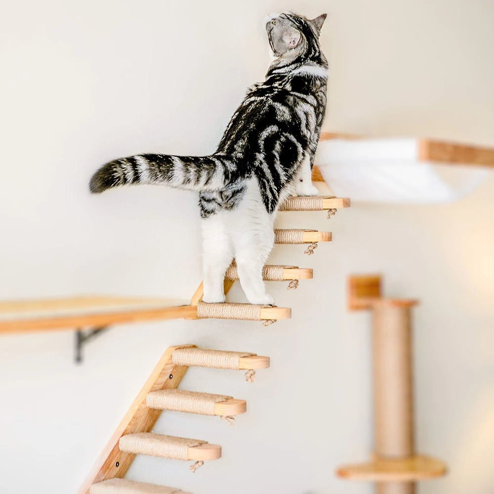 Väggmonterade klättersteg i trä och sisal för katter