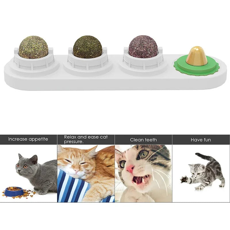 Ätbar Väggmonterad Kattmyntaboll