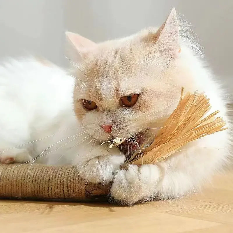 Matatabi & Silvervine Tuggpinne för Katt