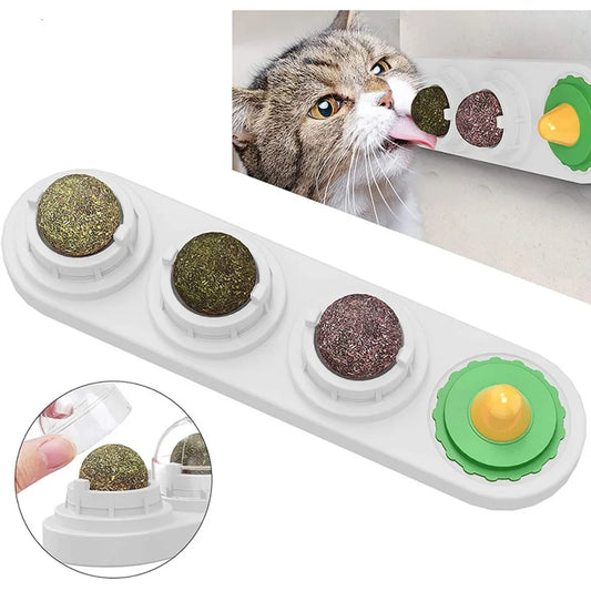 Ätbar Väggmonterad Kattmyntaboll