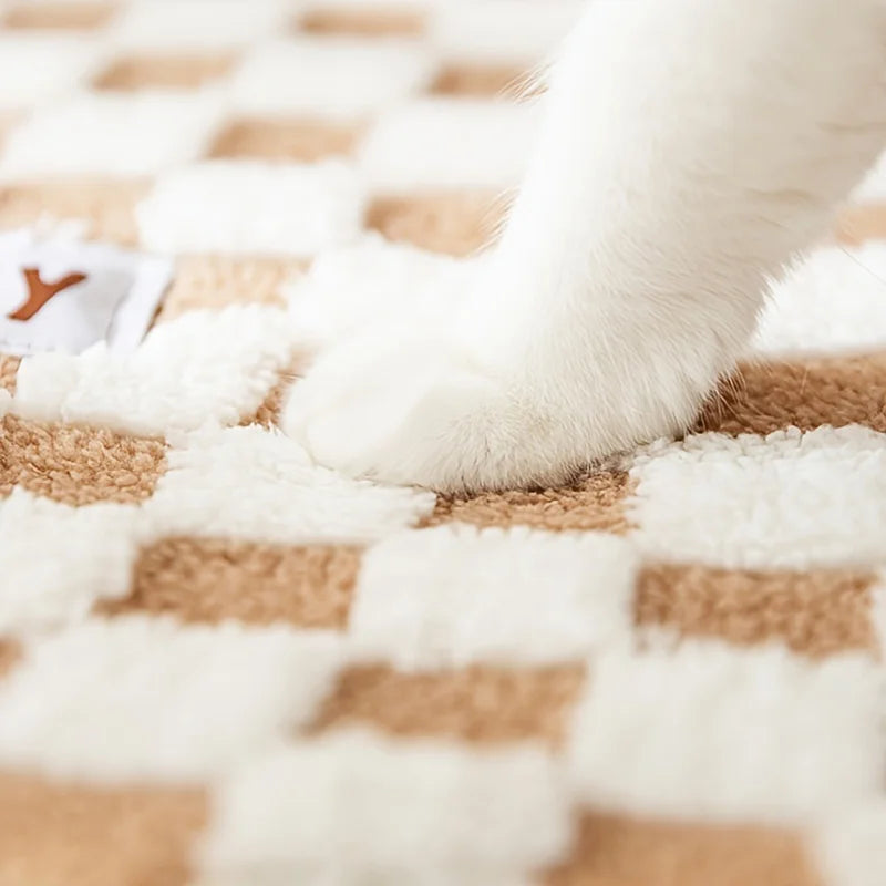 Kattunnel & Kattkoja 55×40 cm – Mysig Lek- och Gömplats
