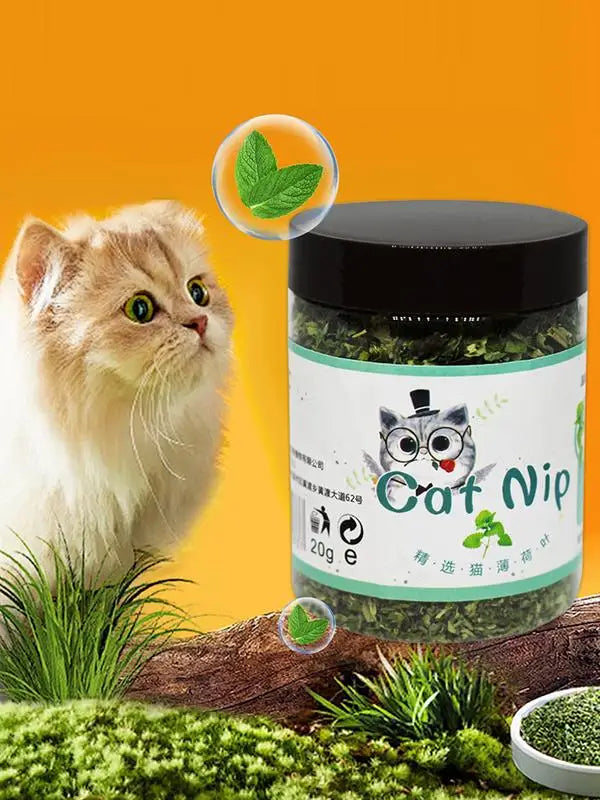 Naturlig premium kattmynta för lek och stimulans – färska blad för katter
