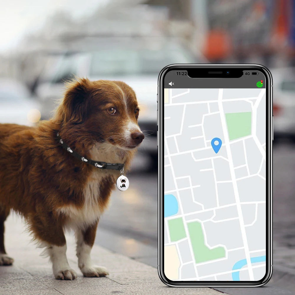 GPS-tracker för katt & hund – vattentät