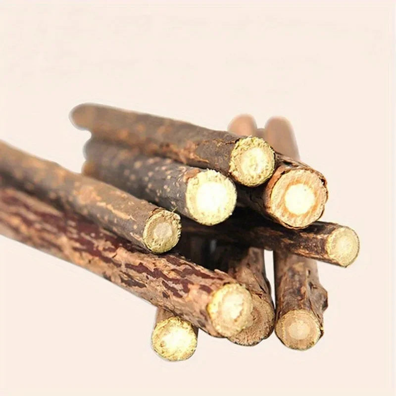 Naturlig kattmyntastick för tandvård
