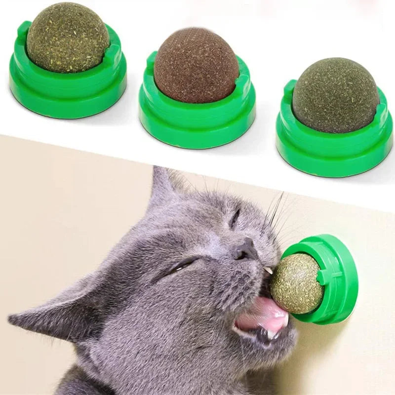 Slickleksak med Kattgräs för Matsmältning, Tandvård och Aktivering