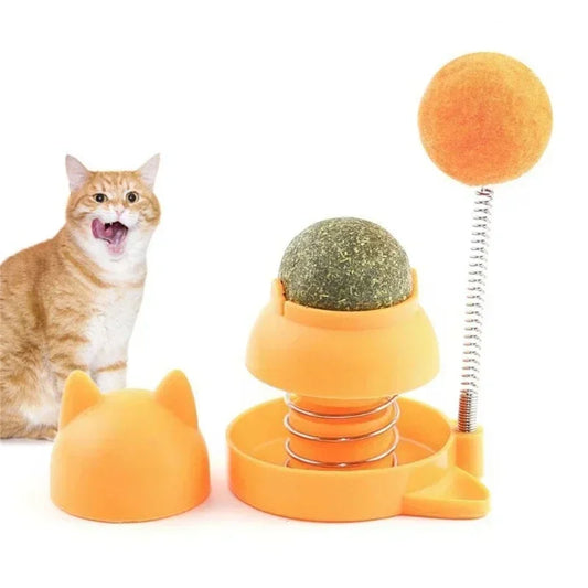 Ätbara Catnip-kulor & lekboll – Interaktiv leksak för katt