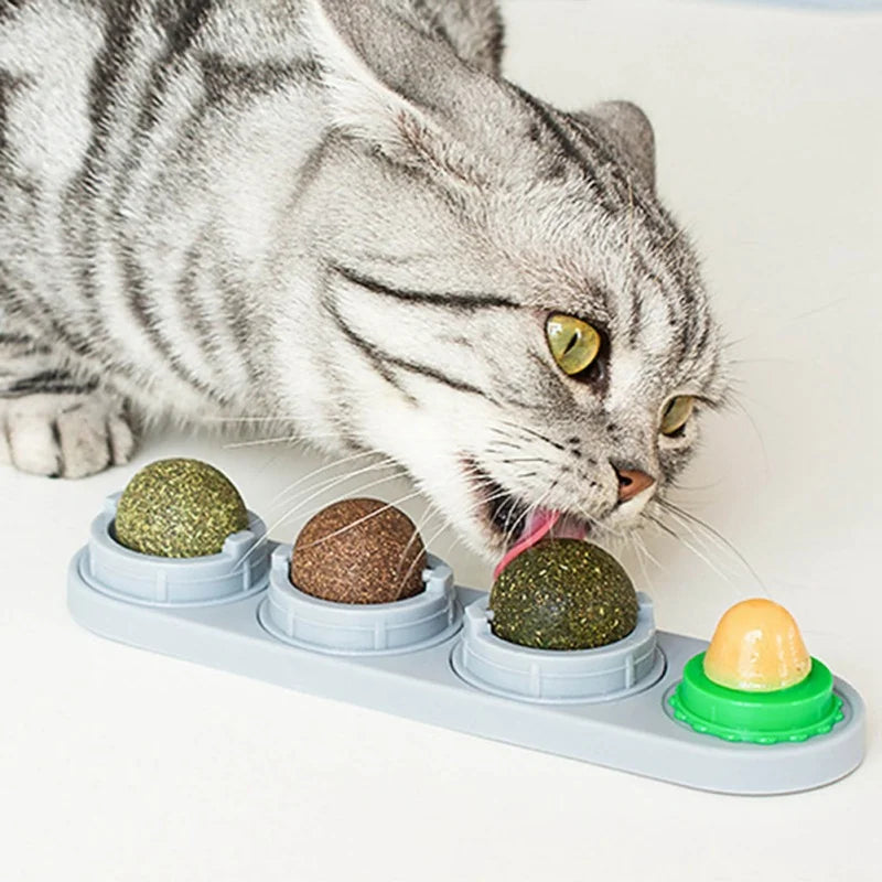 Ätbar Väggmonterad Kattmyntaboll