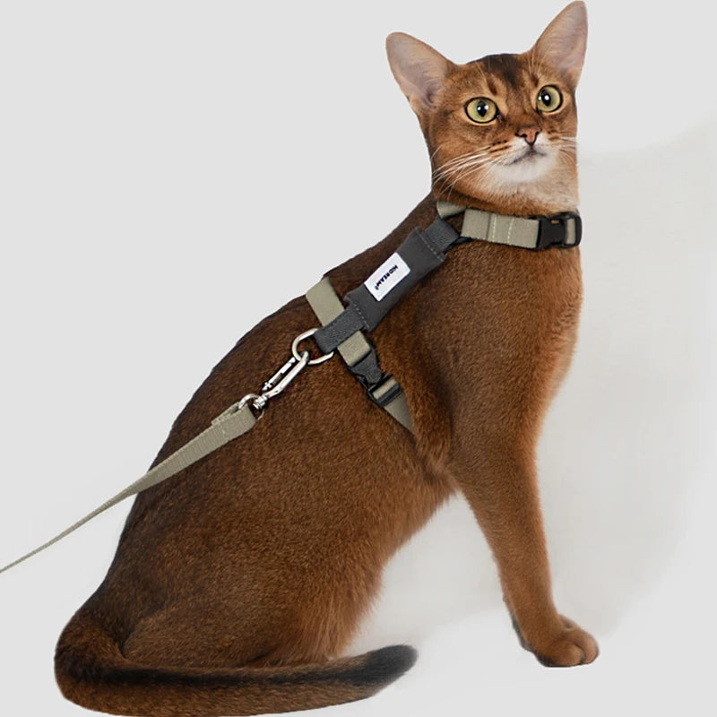 Kattsele med koppel – andningsbar design