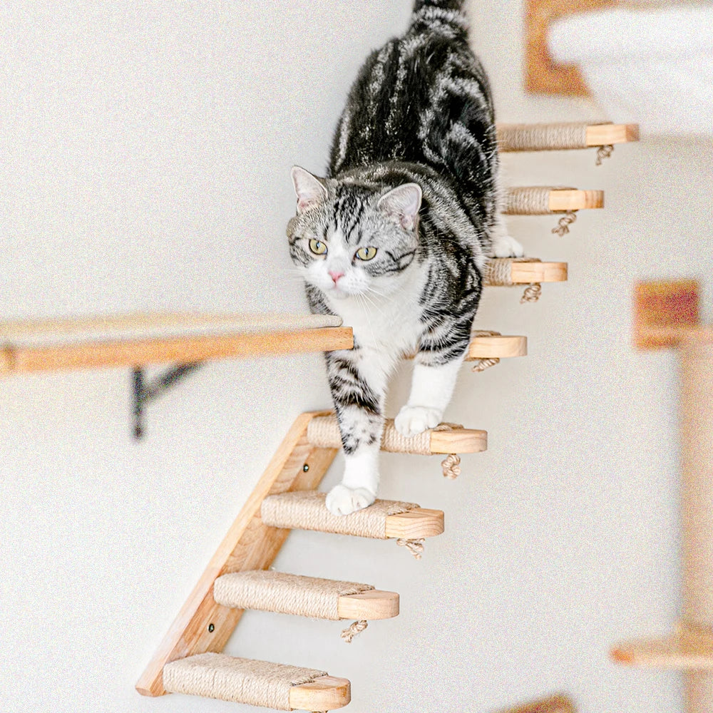 Väggmonterade klättersteg i trä och sisal för katter