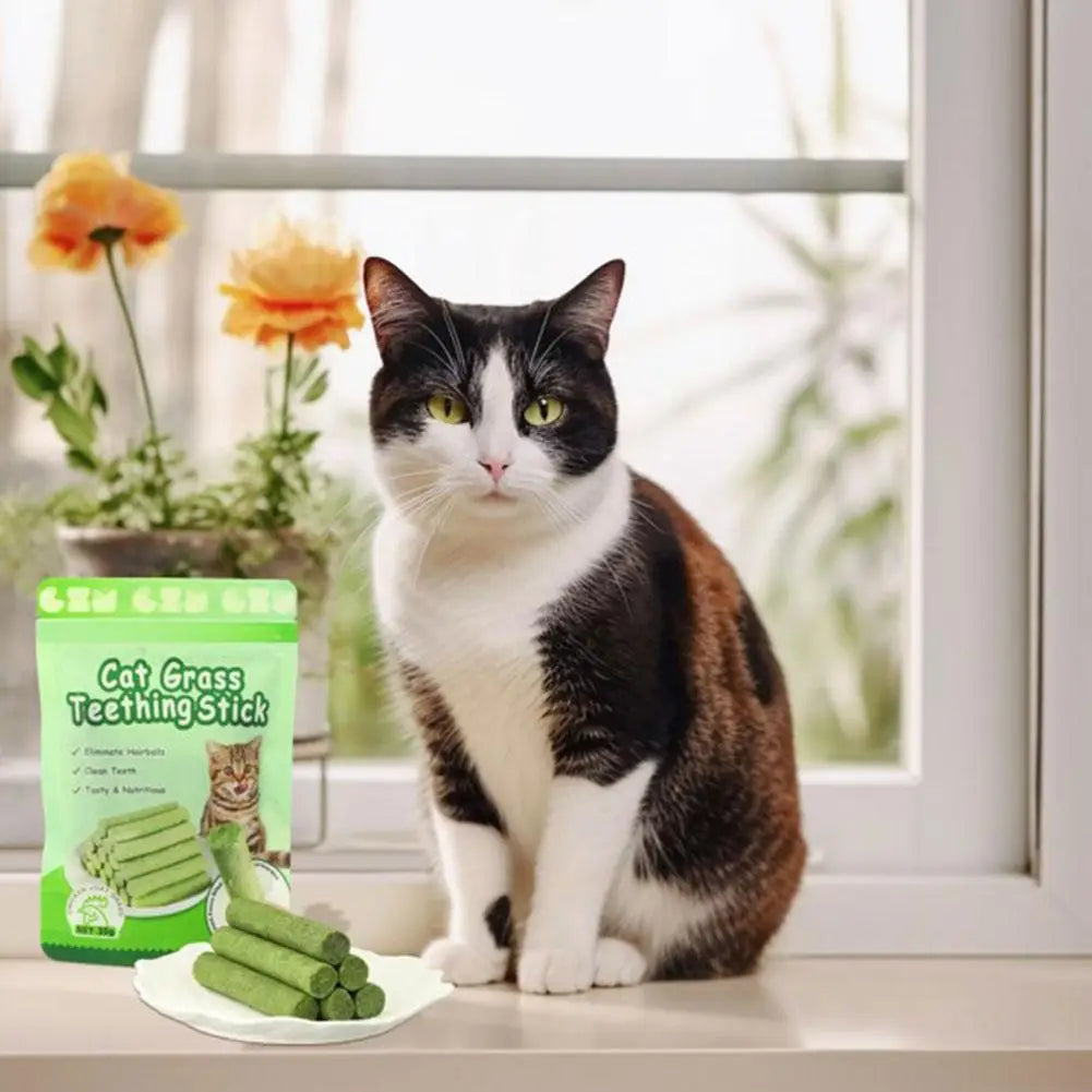 Tuggpinnar med kattgräs – Tandvård & hårbollskontroll (6-pack)