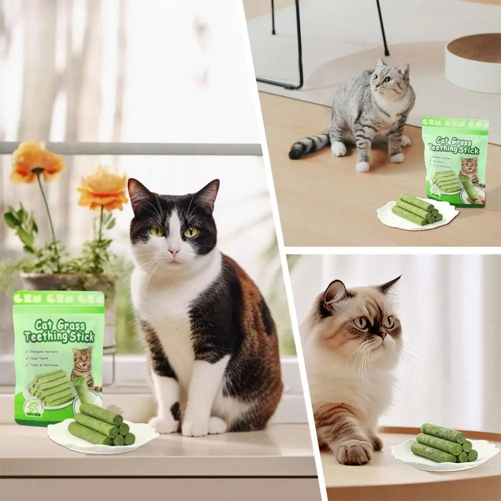 Tuggpinnar med kattgräs – Tandvård & hårbollskontroll (6-pack)