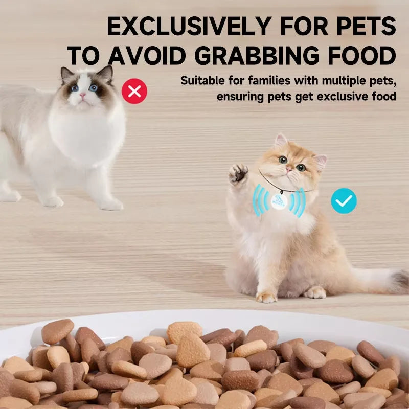 Automatisk RFID Foderstation för Katt & Hund med Timer och Röstfunktion