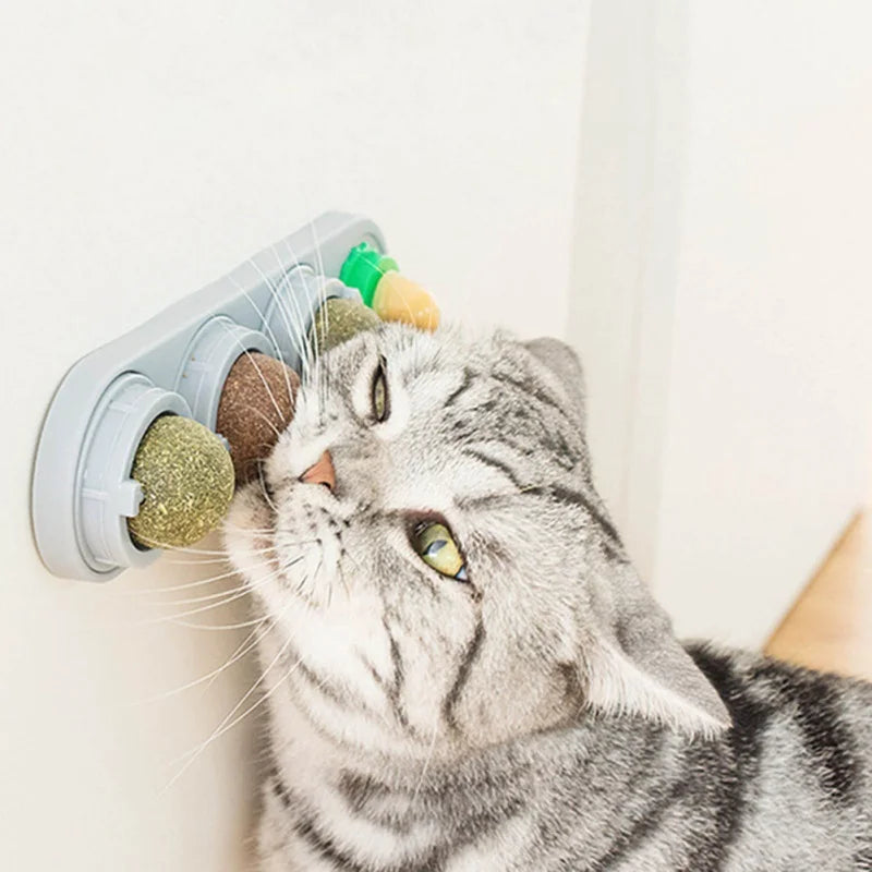 Ätbar Väggmonterad Kattmyntaboll