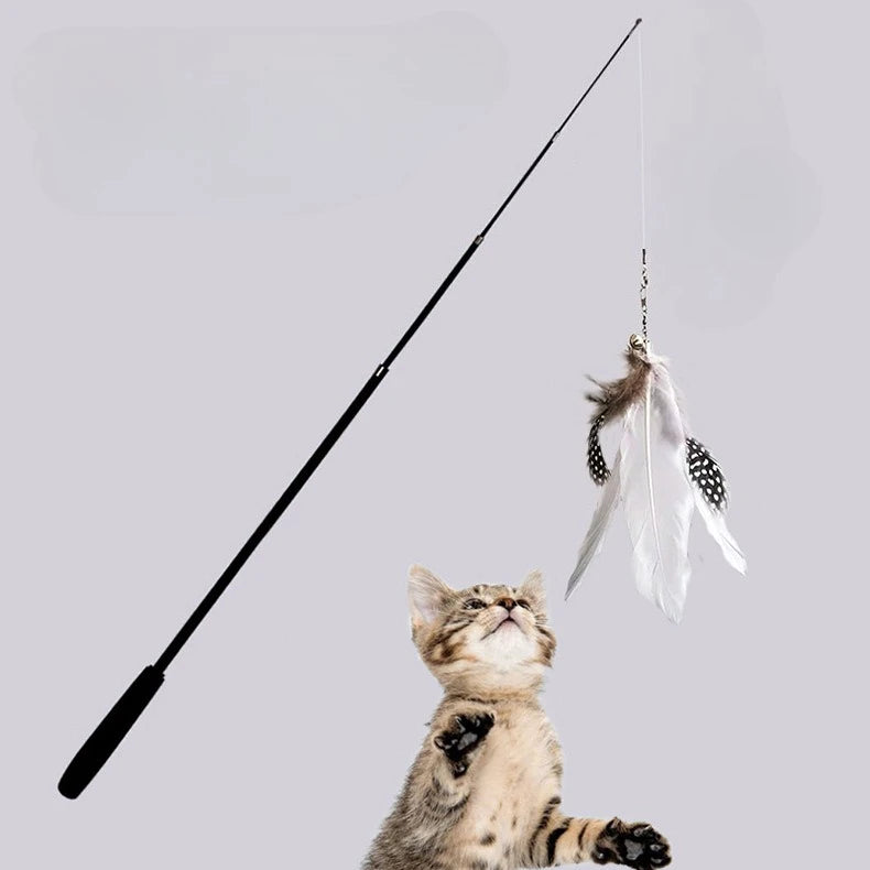 Kattfiskespö med kattmynta & fjäderleksak