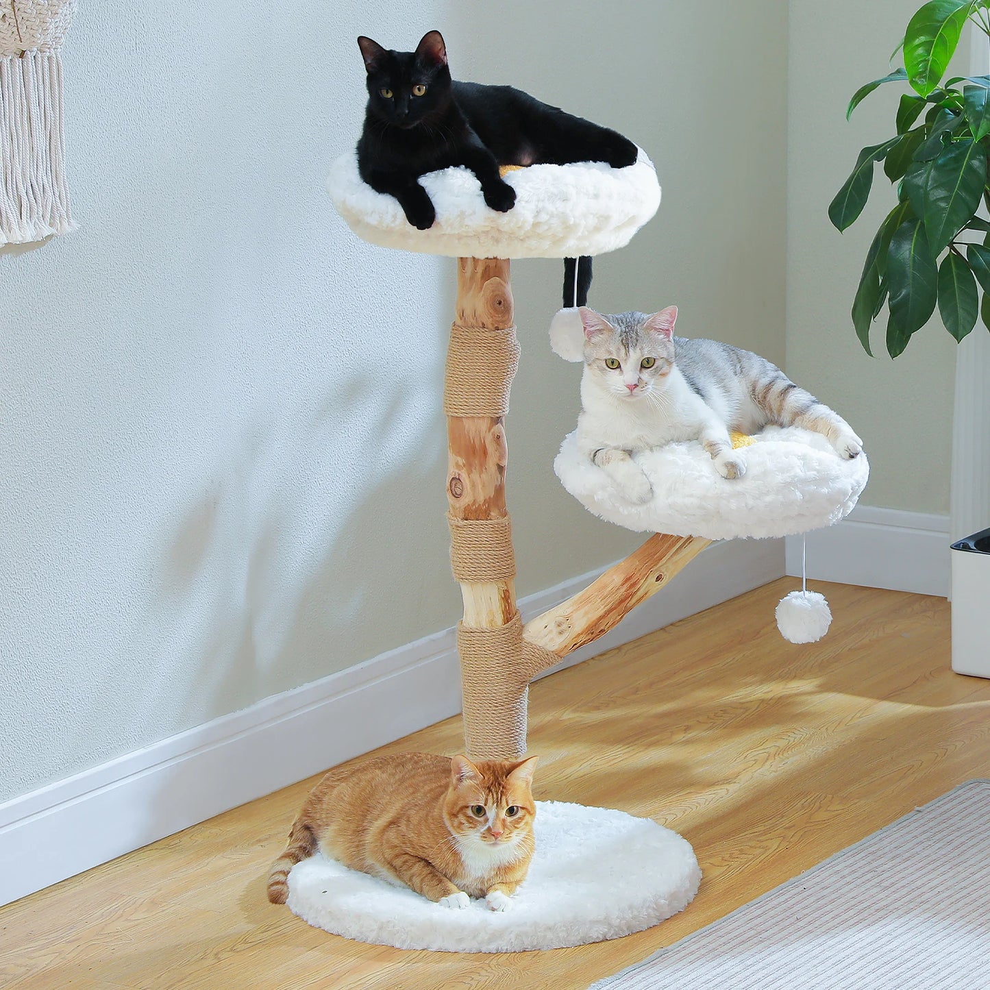 Modern kattträd med klös och mysiga viloplatser