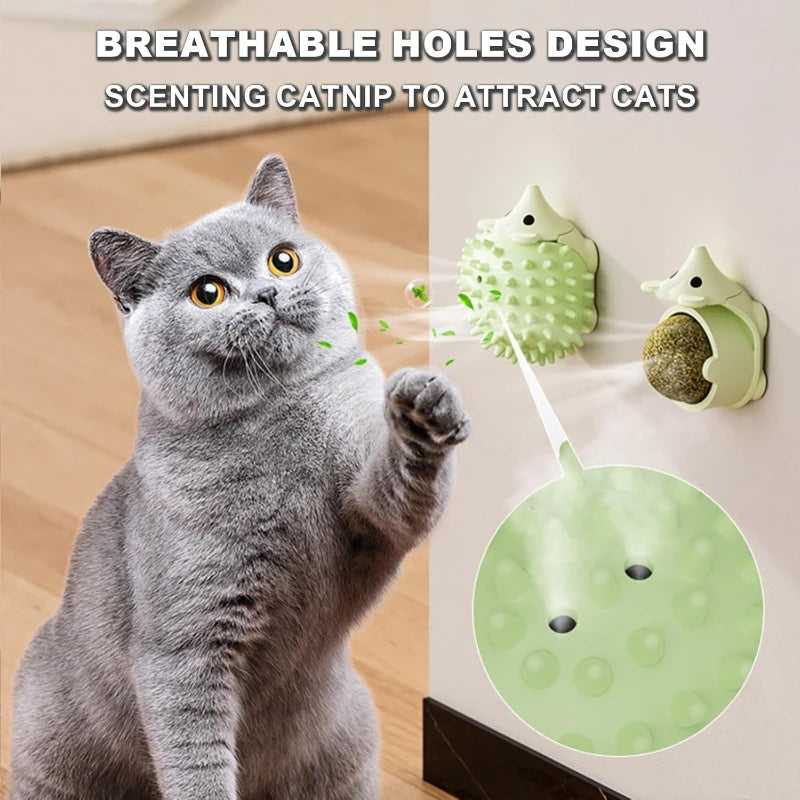 Kattmyntaboll i igelkottsdesign – väggmonterad tuggleksak för katt