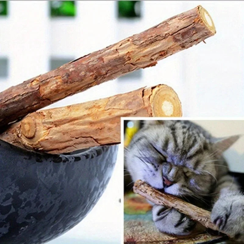 Naturlig kattmyntastick för tandvård