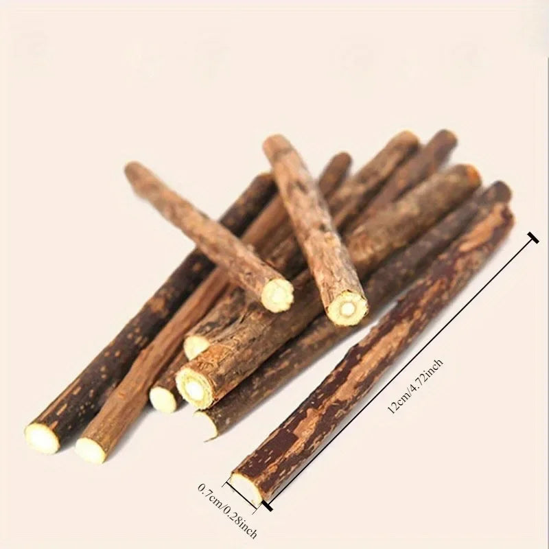 Naturlig kattmyntastick för tandvård