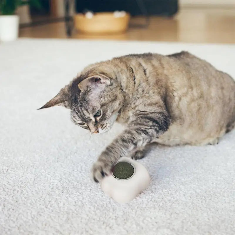 Roterande kattmyntaboll i äggform